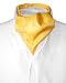 image and picture of Antonio Ricci ASCOT Solid GOLD Color Cravat Men's Neck Tie
