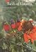 Birds of Vanuatu