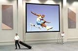 Dalite Da-mat Surface Front Projection Heavy Duty Deluxe Complete Screen 13 X 17 Feet - Dalite 92097