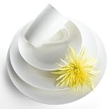 Pinzon 16-Piece Bone China Dinnerware Set, Service for 4