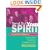 Send Out Your Spirit: Preparing Teens for Confirmation