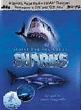 Search For The Great Sharks [1999] [DVD]