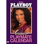 Playboy - 2004 Video Playmate Calendar