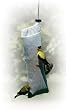 Thistle Sock Bird Feeder