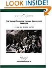 The Natural Resource Damage Assessment Deskbook: A Legal and Technical Analysis