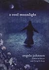 A Cool Moonlight