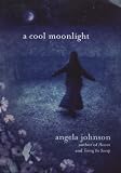 A Cool Moonlight