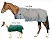 Sporting Goods : WeatherBeeta Saxon 600 Medium Turnout Blanket