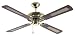 Kitchen & Housewares : Micromark 30008 42' New Georgia Ceiling Fan