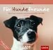 Die beliebtesten Kalender f�r Hundefreunde 