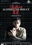 The Missing Star ( LÉtoile imaginaire ) ( La Stella che non cè )