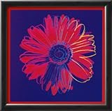 IMAGE OF Daisy, c.1982 (blue and red) Framed Art Poster Print by Andy Warhol, 16x16