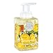 Michel Design Works Foaming Hand Soap