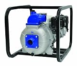 AMT Pump 2S5XAR Engine Driven Self-Priming Trash Pump with Briggs& Stratton Vanguard Engine, Aluminum, 5 HP, Curve A, 2