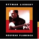 Nouveau Flamenco