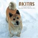 Akitas 2009 Wall Calendar