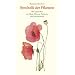 Symbolik der Pflanzen: Mit 101 Aquarellen (insel taschenbuch)