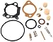 Genuine Briggs & Stratton 498260 Carburetor Overhaul Kit