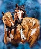 Nine Horses Blanket