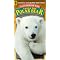 Polar Bear Books for Children of All Ages