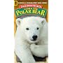 Tales From The Wild: Tasha the Polar Bear [VHS]