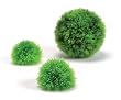 biOrb Aquatic Topiary Packs - 3 Plants