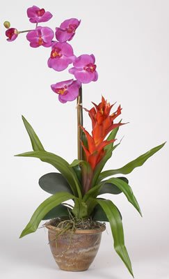 Single Star Bromeliad/Orchid Combo Silk Orchid Plant Color- Orchid