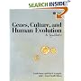 Genes, Culture, and Human Evolution: A Synthesis