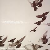Revue Venetian Snares  / Rossz Csillag Allat Szuletett