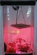 Sunshine Systems LEDGP14 LED Grow Light 14WT