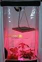 Sunshine Systems LEDGP14 GlowPanel 14 Watt LED Grow Light