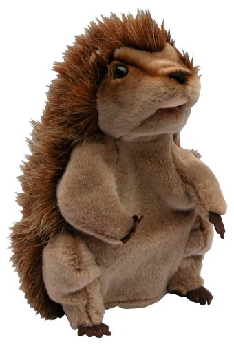 Childrens Toyshop  Toys : Hedgehog Glove Puppet
