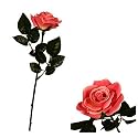 48cm Deep Pink Gift Wrapped Rose with Gift Tag - Artificial Flower