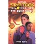 The Quiet Place (Star Trek: New Frontier)