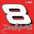 Dale Earnhardt Jr. #8 Car Flag - NASCAR Sports Merchandise