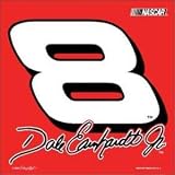 Dale Earnhardt Jr. #8 Car Flag - NASCAR Sports Merchandise