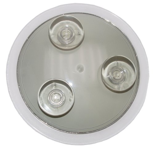 Imagen principal de Fantasia 41010