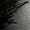 Image of album by Max Richter