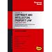 A Guide to Copyright and Intellectual Property Law: The Easy Way (Easyway Guides)