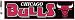 Chicago Bulls Basketball NBA Bumper Sticker