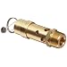 Control Devices SB Series Brass ASME Safety Valve, 125 psi Set Pressure, 3/4" Male NPT