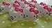 Bakery Crafts - Hello Kitty Cupcake Rings (12 count)