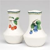 Review Noritake Co., Inc.  / Noritake Epoch Orchard Valley Salt & Pepper Shakers 4-in.