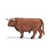 Schleich 13658  - Bauernhof, Schottisches Hochlandrind Bulle