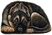 Fiddler's Elbow German Shepherd Pupper Weight