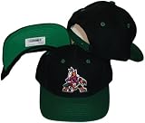 vintage retro phoenix coyotes hip pop 2tone black green visor snapback hat cap