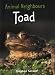 Animal Neighbours: Toad (Animal Neighbours) by Stephen Savage ISBN 0750246618