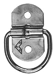 Erickson 59130 5000 lbs Swivel Anchor
