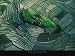 Art Poster Print - Ilot dans les Rizieres en Terrasse de Bali - Artist: Yann Arthus-Bertrand- Poster Size: 24 X 32