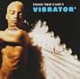 Vibrator